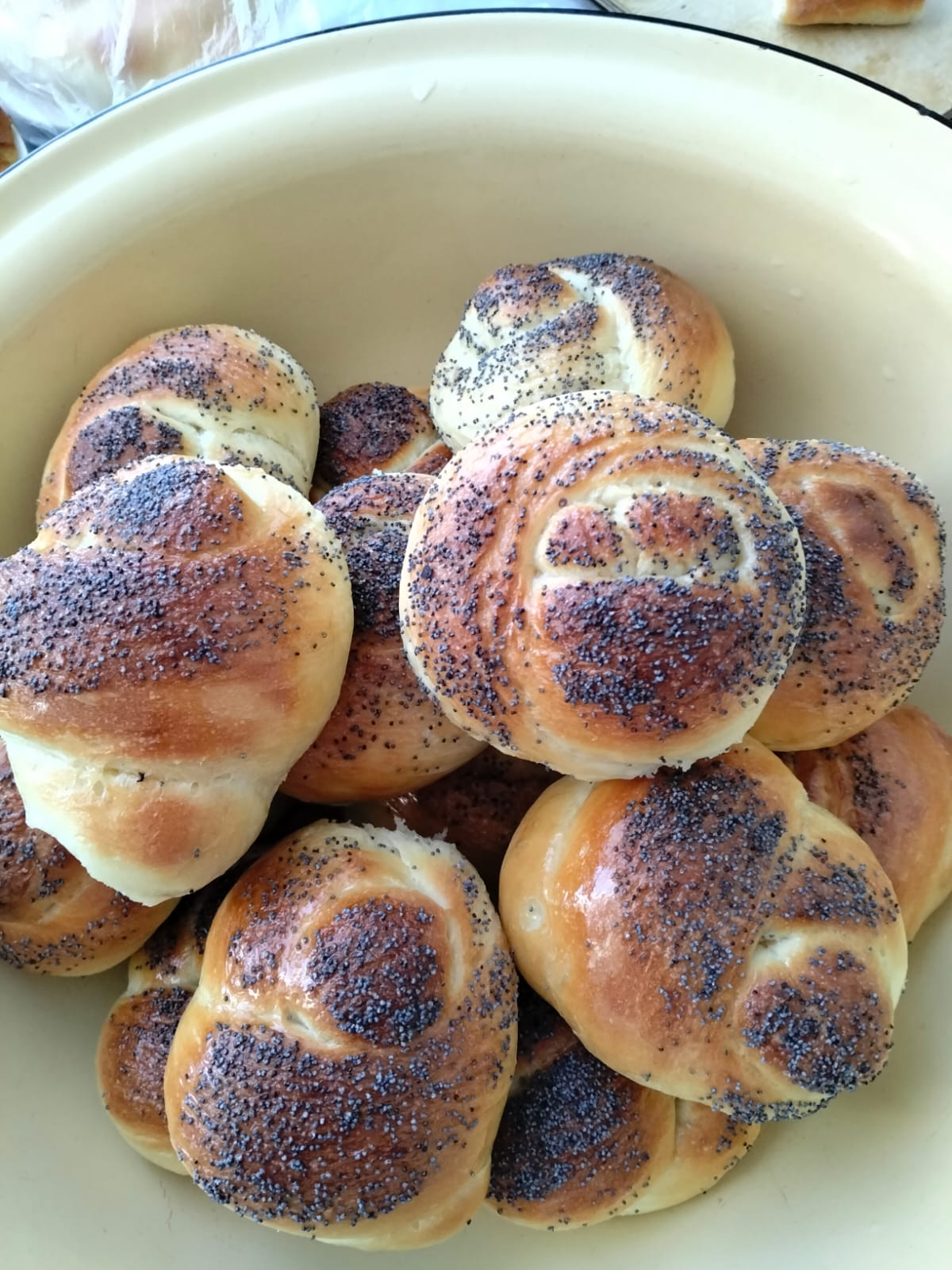 WhatsApp Image 2025 11 18 at 11.11.30